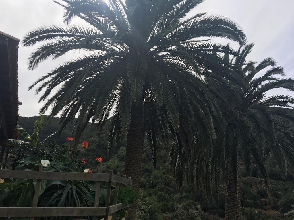Casa Rural El Rincon De Antonia Agulo Εξωτερικό φωτογραφία