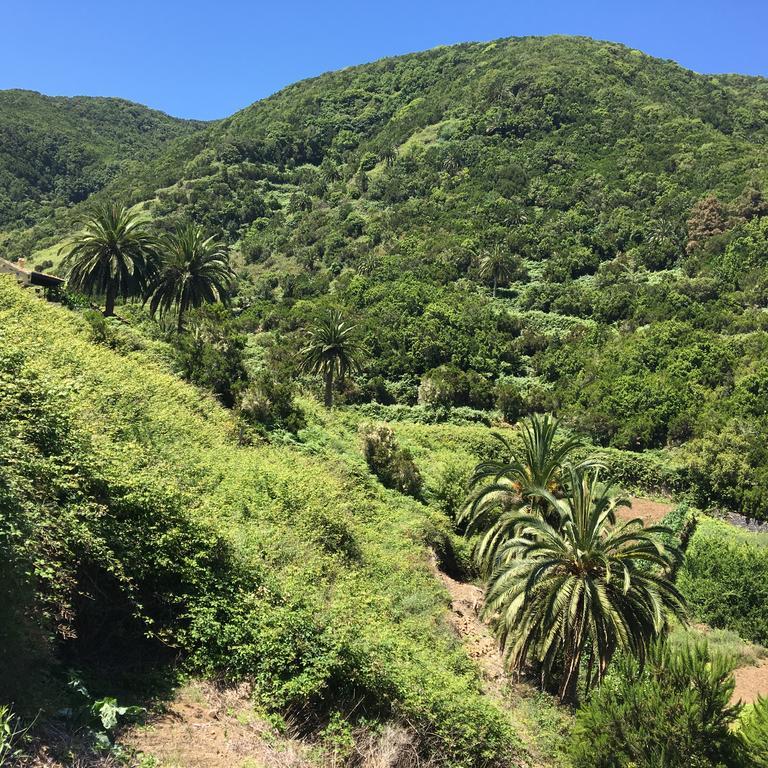 Casa Rural El Rincon De Antonia Agulo Εξωτερικό φωτογραφία