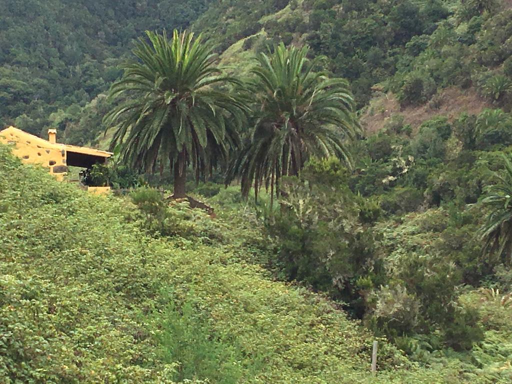 Casa Rural El Rincon De Antonia Agulo Εξωτερικό φωτογραφία