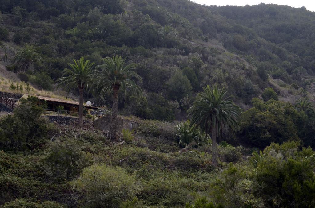 Casa Rural El Rincon De Antonia Agulo Εξωτερικό φωτογραφία