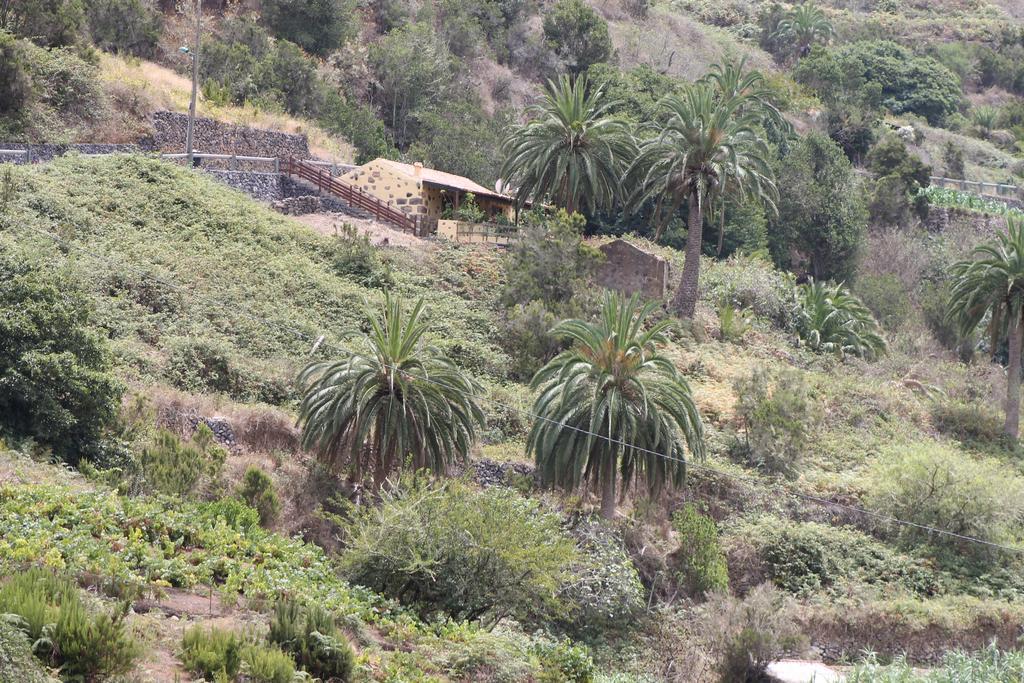 Casa Rural El Rincon De Antonia Agulo Εξωτερικό φωτογραφία